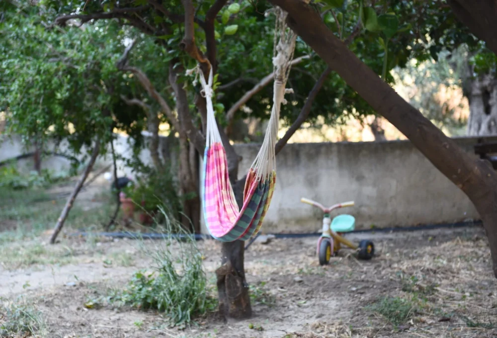 Garden (4)