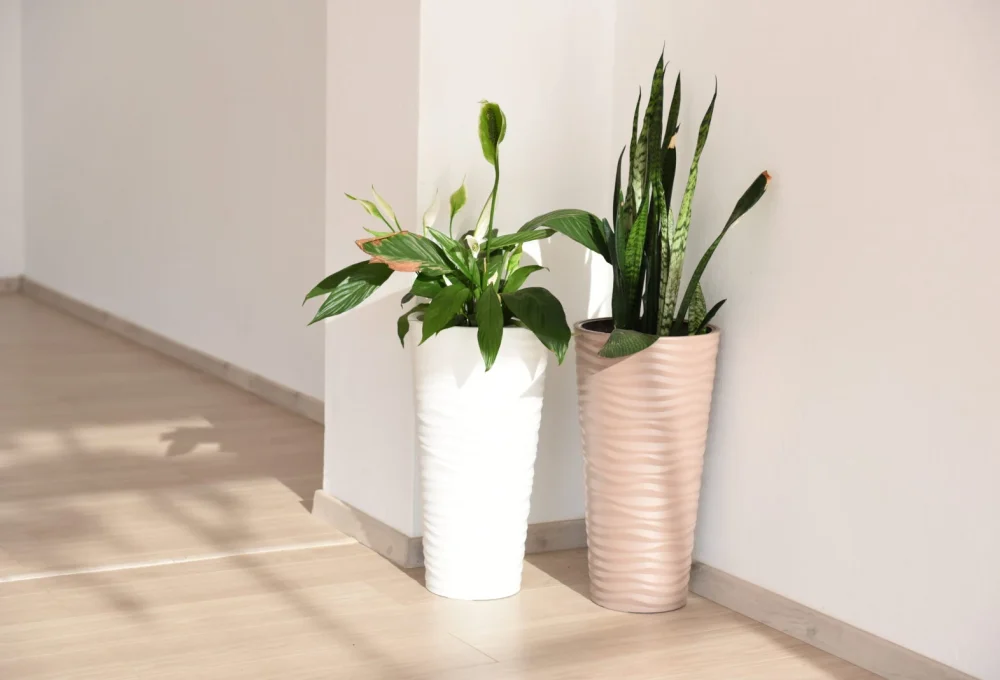 Yoga-Pilates-Meditation Room 3